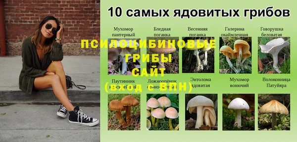 метадон Наволоки